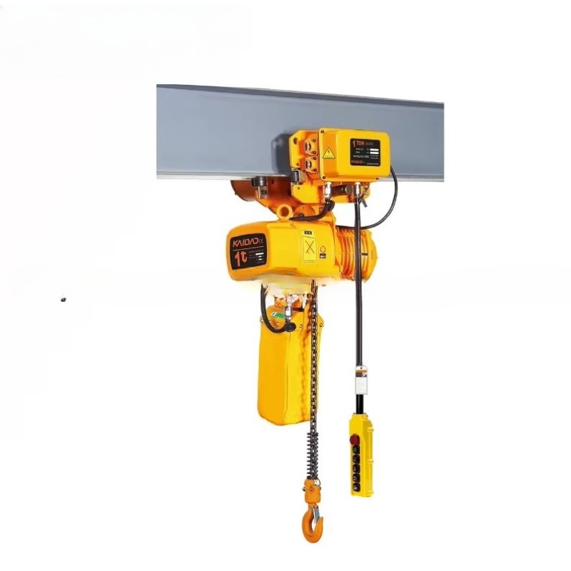 Dual Speed Electric Chain Hois - Heavy Equipment Lift review and price